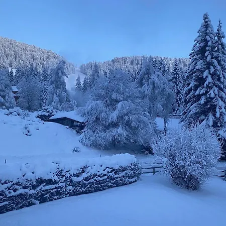 Casa Gherdeina, Ski-in, Ski-out Mountain Gem Appartement