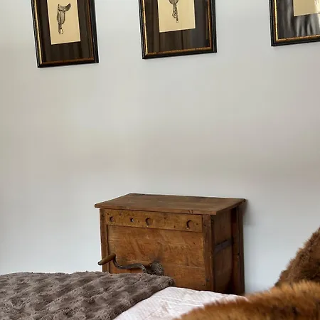 Casa Gherdeina, Ski-in, Ski-out Mountain Gem Appartement