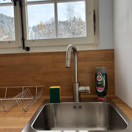 Casa Gherdeina, Ski-in, Ski-out Mountain Gem Appartement *
